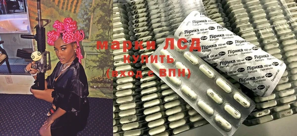 прущие грибы Бородино