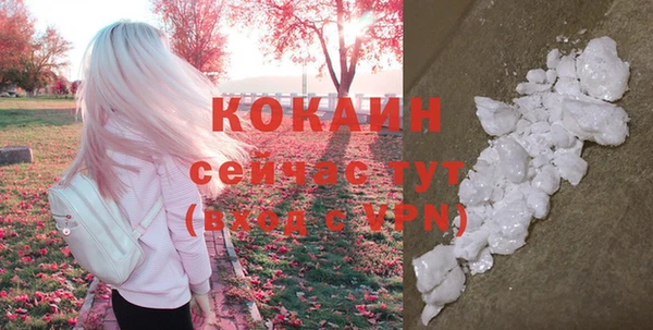 прущие грибы Бородино