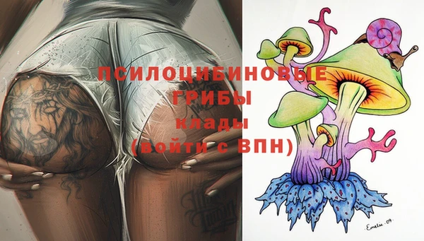 мдпв Верея