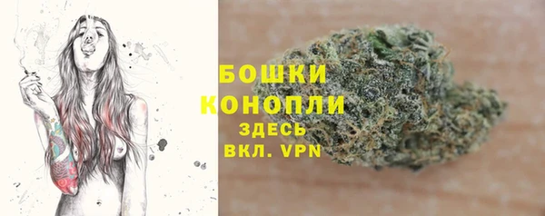 крисы Бугульма