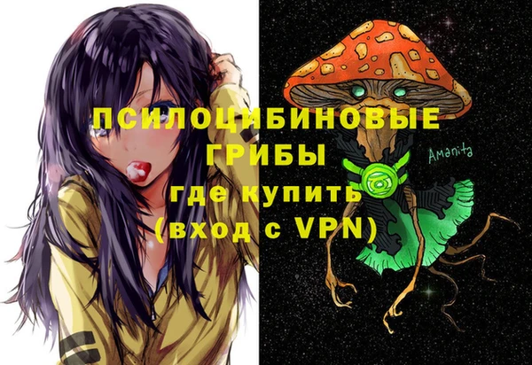 ECSTASY Рославль
