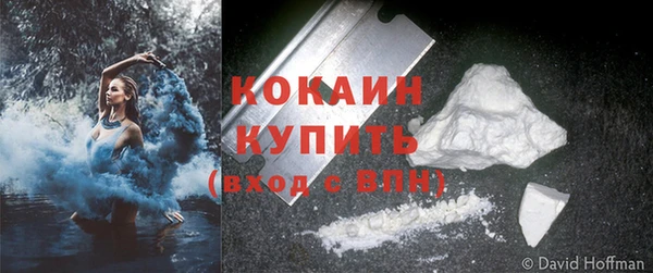 крисы Бугульма