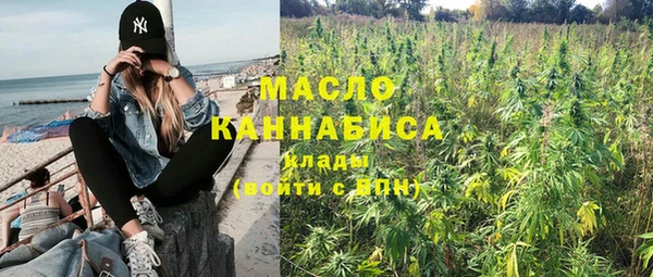 прущие грибы Бородино