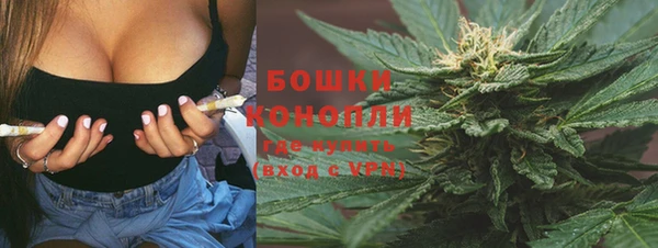 прущие грибы Бородино