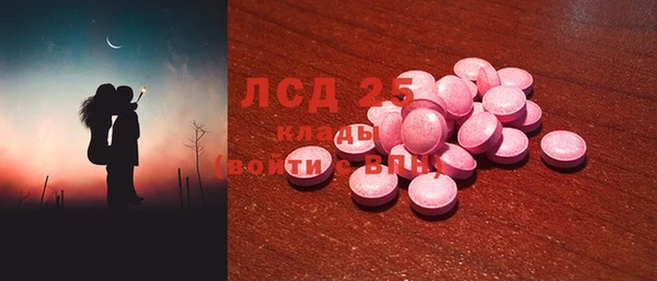 прущие грибы Бородино