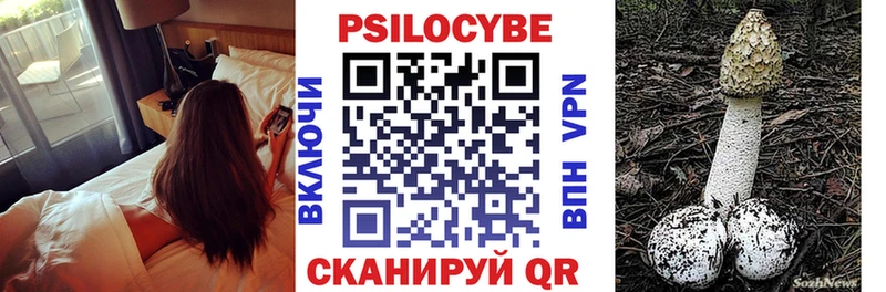 где купить наркотик  Кинель  Псилоцибиновые грибы Cubensis 