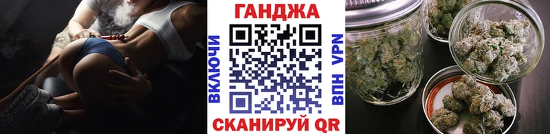 Канабис сатива  Кинель 
